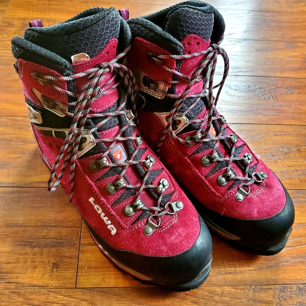 Lowa Alpine Expert GTX Mountaineering Boots